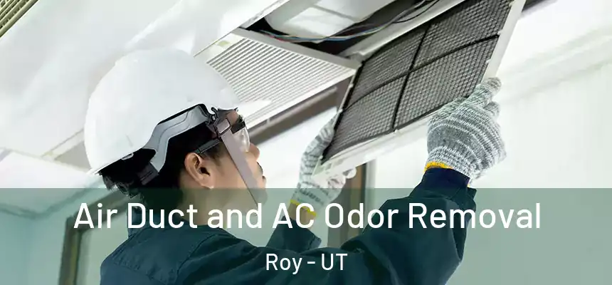 Air Duct and AC Odor Removal Roy - UT