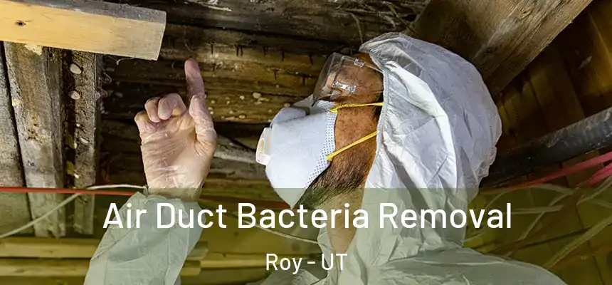  Air Duct Bacteria Removal Roy - UT