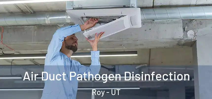 Air Duct Pathogen Disinfection Roy - UT