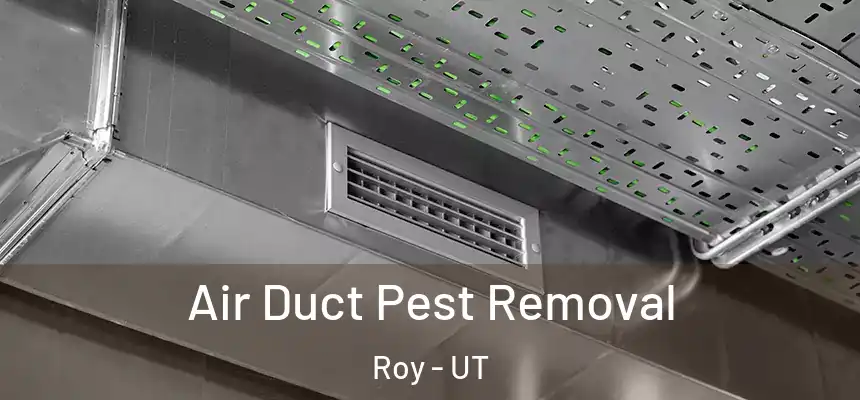 Air Duct Pest Removal Roy - UT