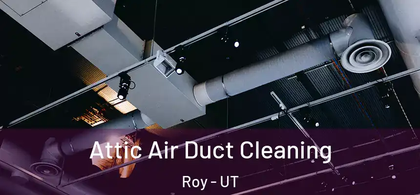  Attic Air Duct Cleaning Roy - UT