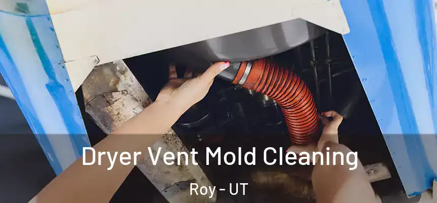  Dryer Vent Mold Cleaning Roy - UT