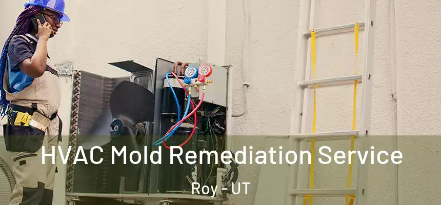  HVAC Mold Remediation Service Roy - UT