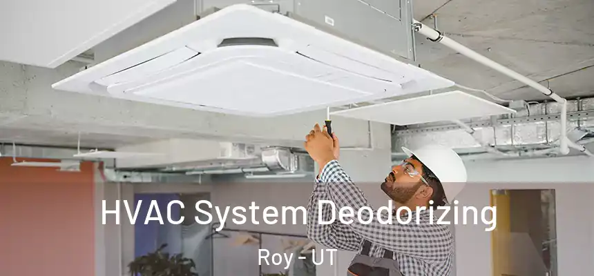 HVAC System Deodorizing Roy - UT