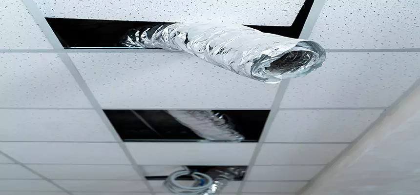 Our Air Duct Pet Hair Removal Services in Roy, UT