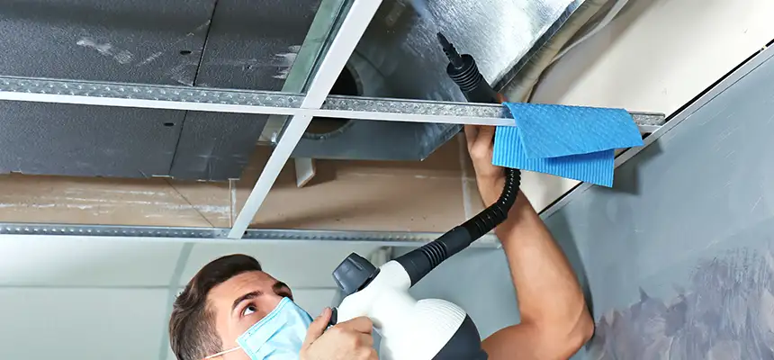 Our Air Duct Rodent Removal Services in Roy, UT
