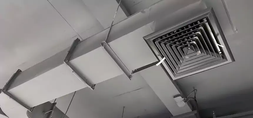 Restorative Allergy Relief Vent Cleaning – Coil, Blower & Housing Detail in Roy