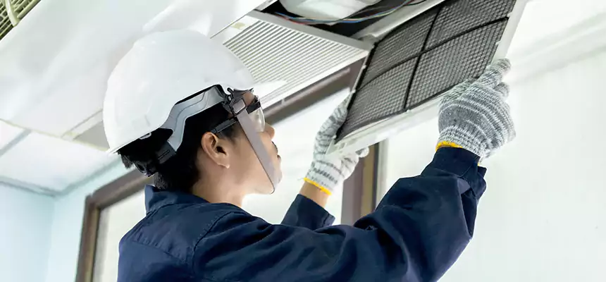 Our Mold & Mildew Removal from Air Ducts Services in Roy, UT