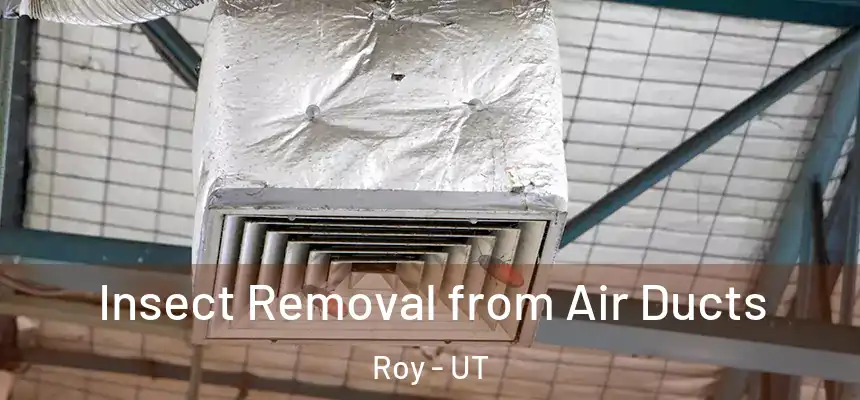 Insect Removal from Air Ducts Roy - UT