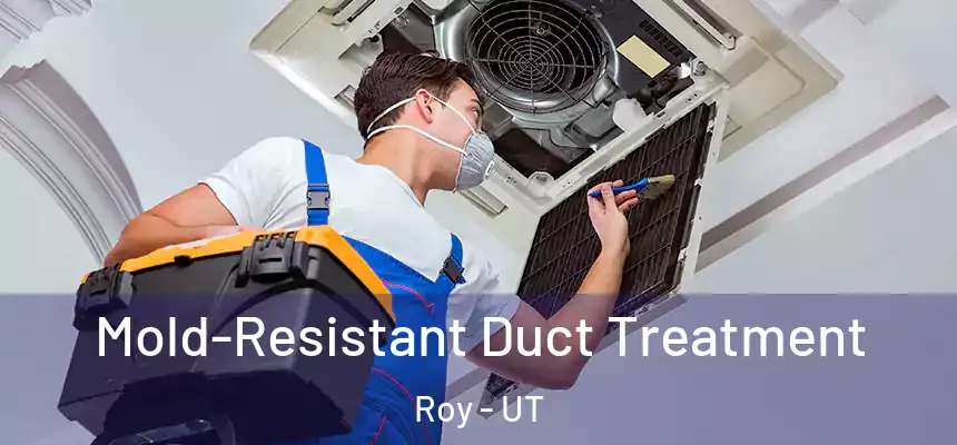 Mold-Resistant Duct Treatment Roy - UT
