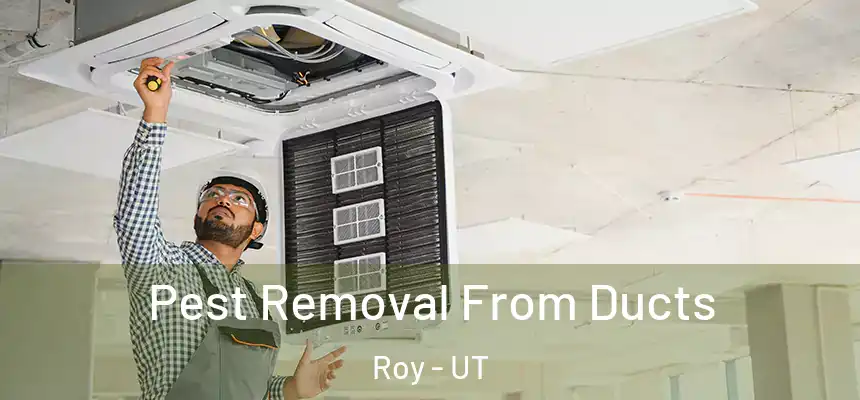  Pest Removal From Ducts Roy - UT