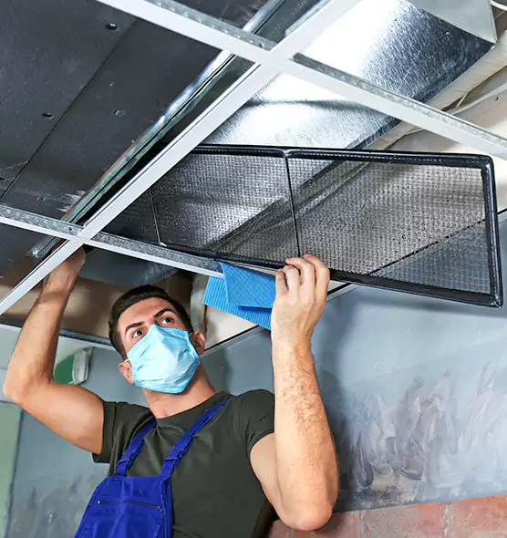 About Air Duct Bacteria Removal in Roy