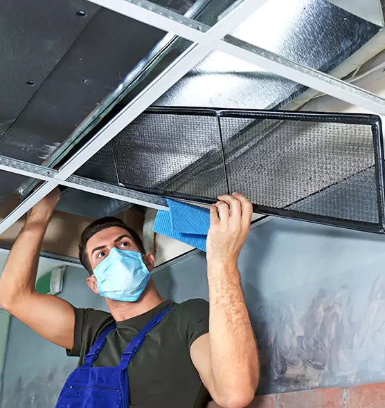 Professional Air Duct Pollen Cleaning in Roy, UT