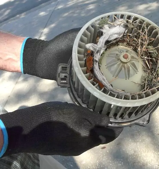 About Air Duct Rat Removal in Roy, UT