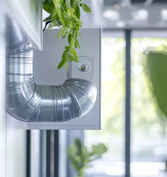 Professional Eco-Safe Dryer Vent Cleaning in Roy, UT