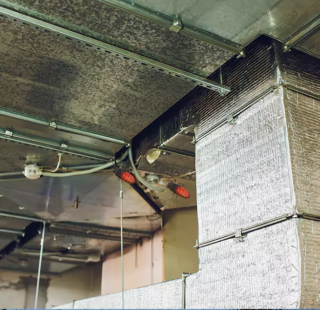 Why Homeowners & Businesses Trust Us in Roy, UT?