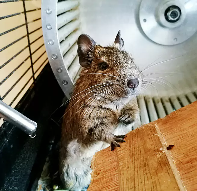 Why Homeowners & Businesses Trust Us Roy, UT