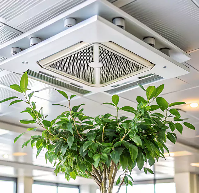 Why Homeowners & Businesses Trust Us in Roy, UT?