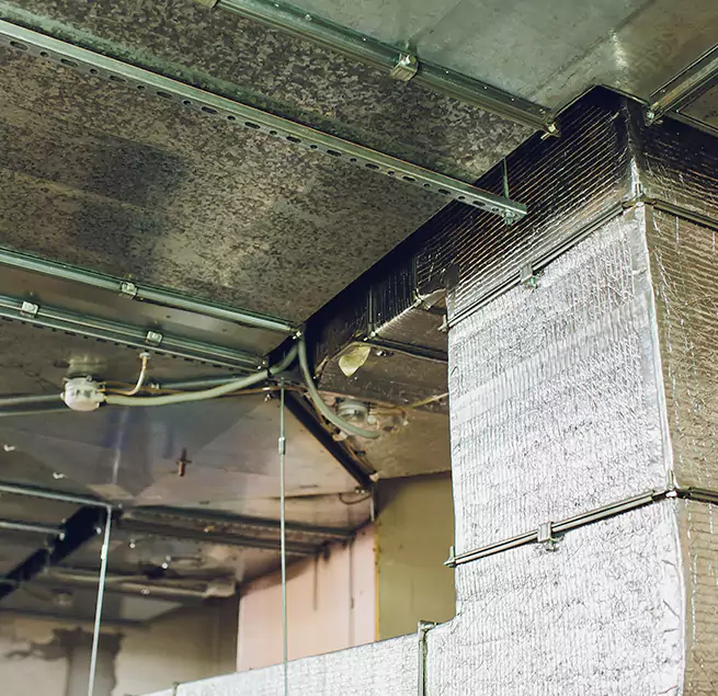 Why Homeowners & Businesses Trust Us in Roy, UT?