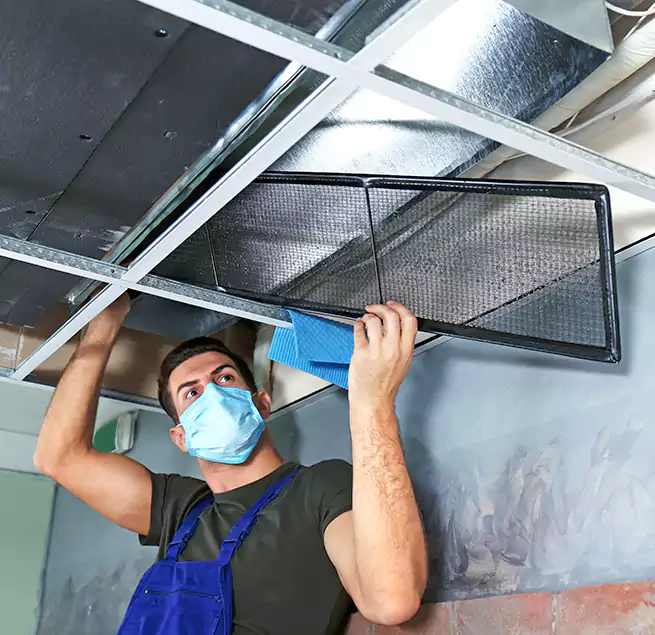 Why Homeowners Businesses Trust Us in Roy, UT